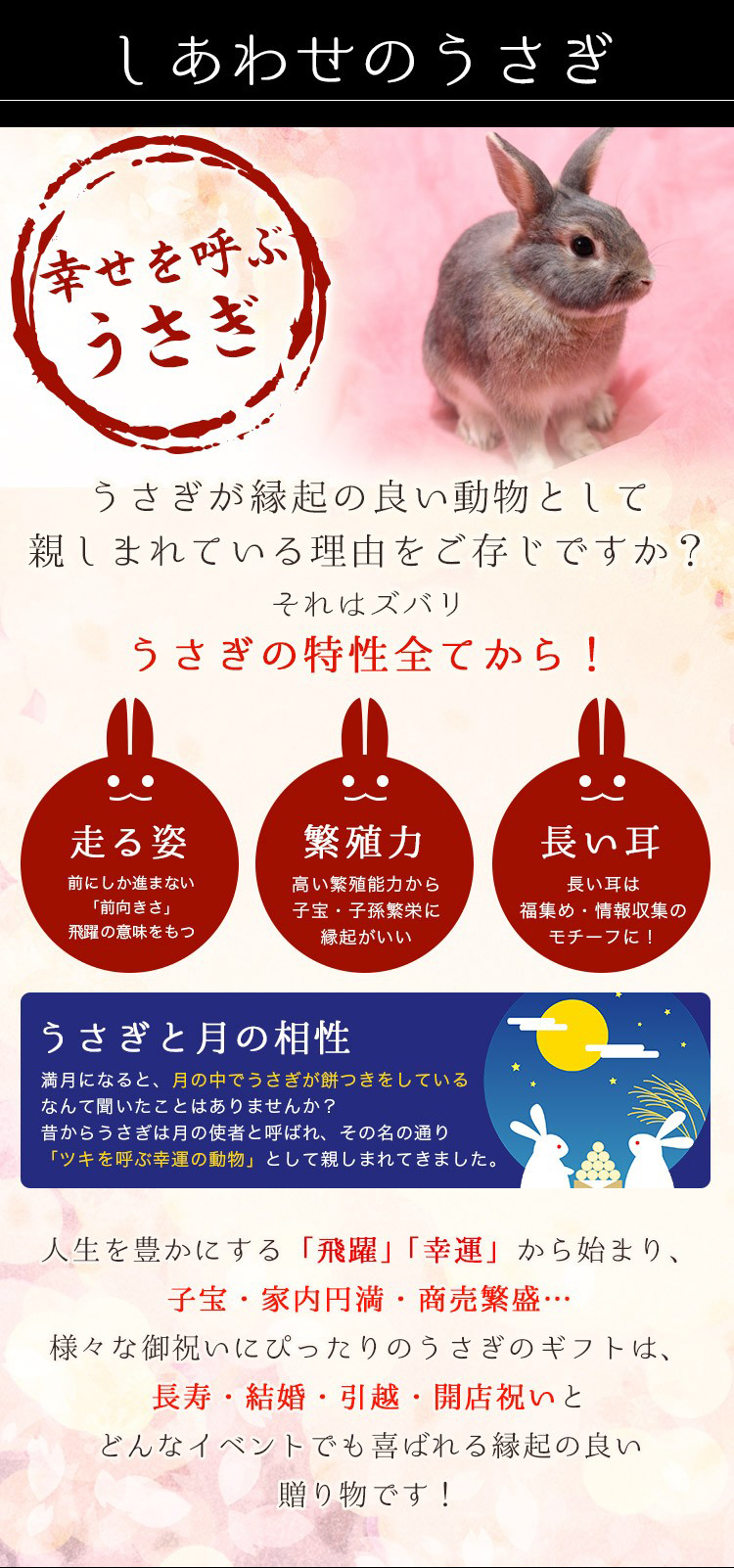 うさぎ 特性 最高のイラストと図面